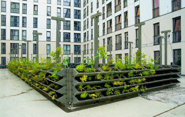 Green facade garden made of stacked flower boxes from recycled waste plastic. Vertical green oasis...