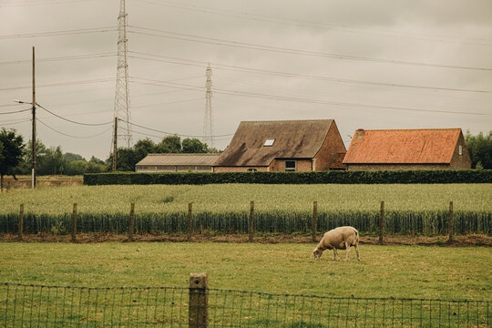 Zulte, belgium 2022-06-20: the village Zulte of the country belgium during the summer
