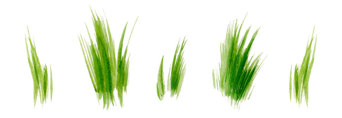 Set of Watercolor green lush grass for spring or summer decoration. Tufts of fresh plants in close up isolated on white. Collection of ecology outdoor blade elements growing in garden or meadows