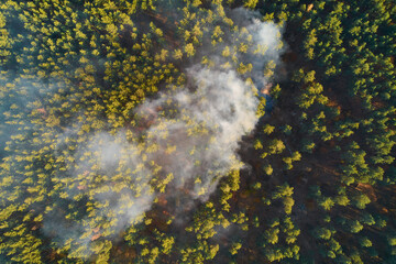 Aerial drone view of a wildfire in forested