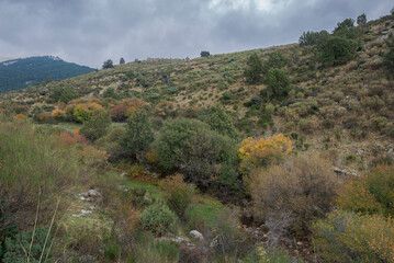 Fototapeta na wymiar Views of the Mediano Stream, in the Hueco de San Blas Valley, a very popular place for hikers located in the municipality of Manzanares el Real, province of Madrid, Spain