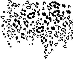 Black and white animal leopard print 