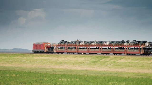 A passing train from the island of Sylt in the green fields. Slow-motion.