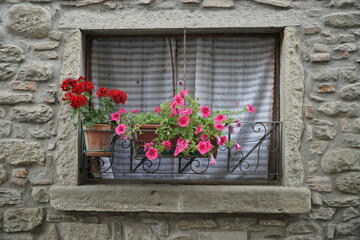 Fototapeta na wymiar fiori alla finestra