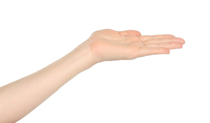 Woman hand shows virtual holding something, on white background