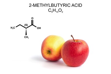 Two red apples and strucural formula of S 2-methylbutyric acid