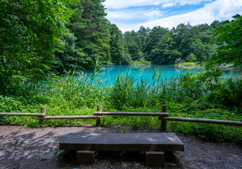 福島県の五色沼湖沼群にある青池