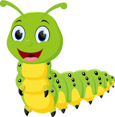 Cartoon cute caterpillar,  isolated on white background
