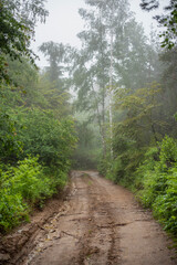 Fototapeta na wymiar Mud mountain road through foggy forest