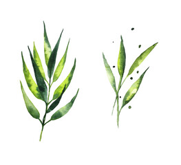 Obraz premium Seamless watercolor illustration of green leaves and branches, circles, on white or black background, suitable for wallpaper, cards, clothing, textiles, fabric, packaging, clothing, dress, invitations