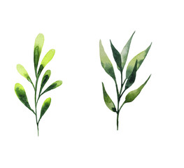 Obraz premium Seamless watercolor illustration of green leaves and branches, circles, on white or black background, suitable for wallpaper, cards, clothing, textiles, fabric, packaging, clothing, dress, invitations