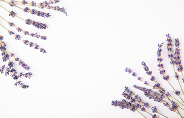 Lavender flowers isolated on white background.Flat lay.Fragrant flowers.Holiday concept.Summer flowers.