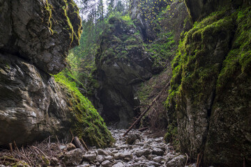 Cracow gorge - the most beautiful rock gorge of Polish Western Tatra mountains.