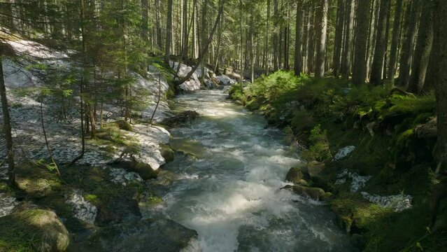 River forest water nature sun snow grass green wood tree magic ice clean