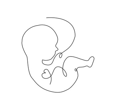 Baby in womb single  continuous line art. Medicine health care pregnancy healthy concept design. Hand drawn minimalism style.