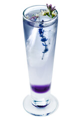 Pink Gin Tonic Cocktail with Purple Lavender and Ice in Glass