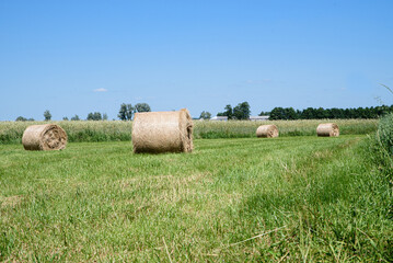 Bałda siana © Katarzyna
