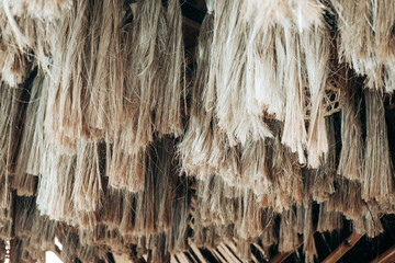 Array of hanging Abaca plant fibers, a natural leaf fiber, also called Manila hemp or Musa textilis...
