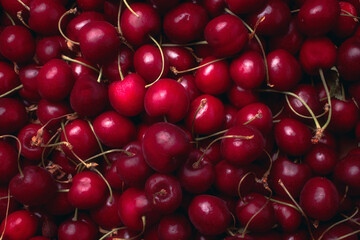 Background top view of ripe sweet cherries texture. Close up fruit.