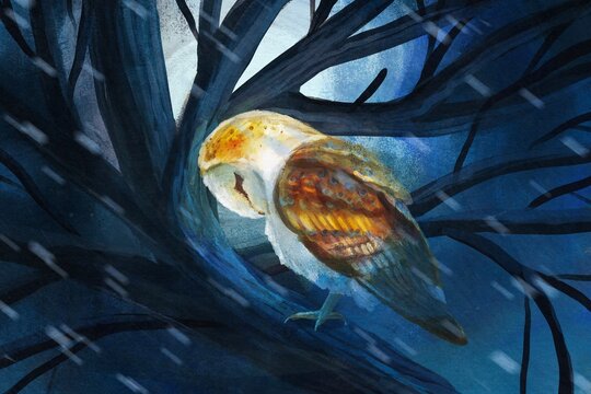 Illustration of an owl sitting on a tree in the rain. Digital art.