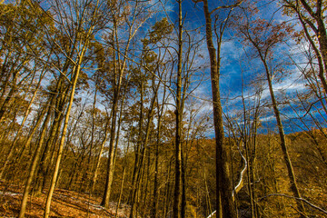 Fototapeta premium Hemlock Cliffs in Autumn after a light snow, Indiana