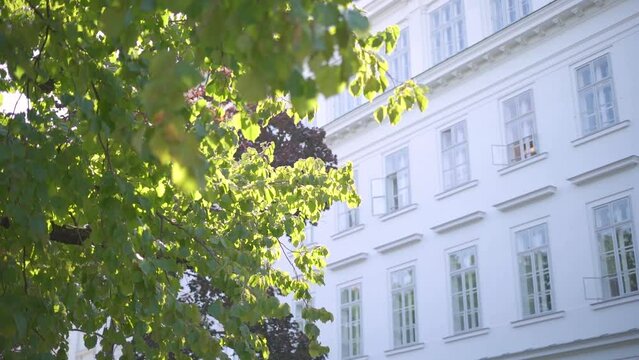 A university building near Karlsplatz in Vienna, Austria. White building surrounded by green trees in slow motion during sunny day.