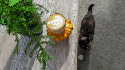 Cappuccino in a cup near the cat
