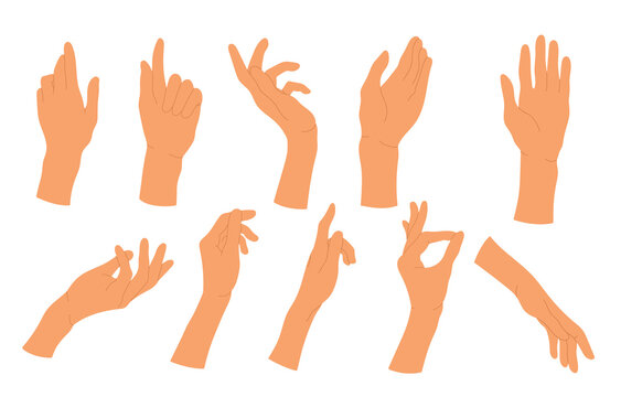 Poses of female hands set. Gesturing.  People's hands in different positions. Human palms and wrist. Vector illustration in cartoon style. Isolated on white background.