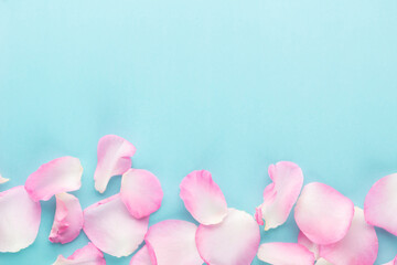 Plakat Rose flowers petals on pastel background. Valentines day background. Flat lay, top view, copy space.