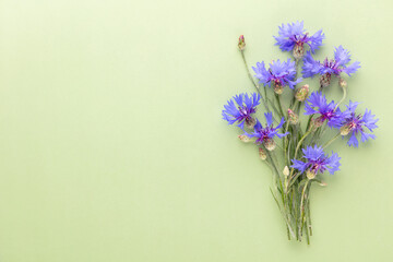 Fototapeta premium Alternative Medicine. Centaurea cyanus, Cornflower Herb capsule, Nutritional Supplement.