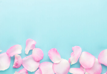 Rose flowers petals on pastel background. Valentines day background. Flat lay, top view, copy space.