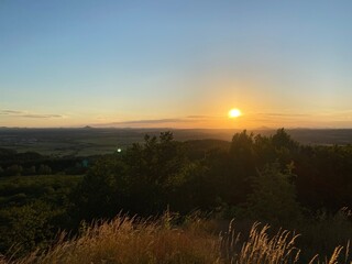 sunset in the forest