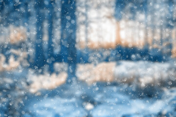  blurred winter forest