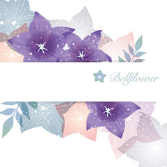 桔梗の花のイラスト背景