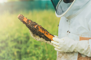 beekeeper holding a picture of bees. copy space.