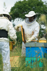 beekeepers working beehives. vertical.