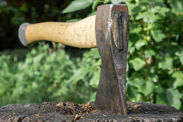 A large ax driven into a wooden stump. Preparation of firewood in the forestry.