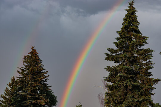 A Rainbow between 2 trees after a storm with a faint second rainbow to the left