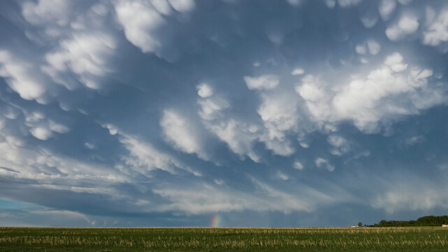 Cumulonimbus and Mammatus clouds over a field with a tiny rainbow in view
