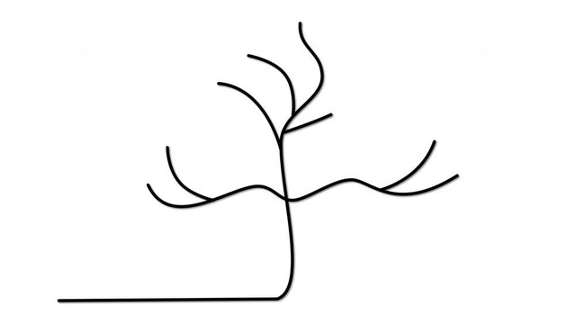 Tree self drawing animation. Line art.  Nature concept. Red leaves. Autumn fall concept.