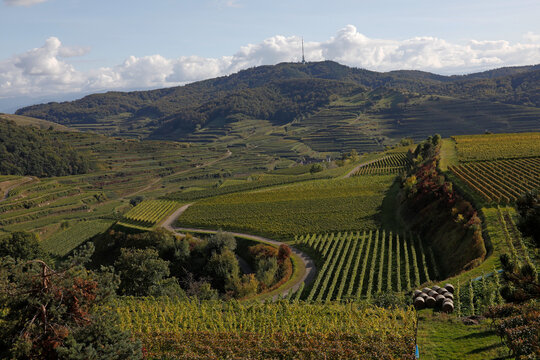 Oberbergen am Kaiserstuhl