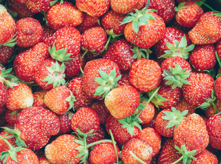 Juicy Ripe Strawberries. Summer Berries.  Concept Of Healthy Vegan Food. Close-up, Fresh Strawberries. Vegetarian Food