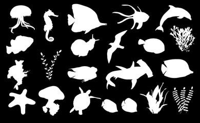 Set of 22 fish silhouettes isolated on black background