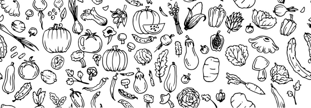 Delicious vegetables Garden fruits. Seamless pattern. Edible food plants. Hand drawn outline. Monochrome drawing. Isolated on white background. Vector