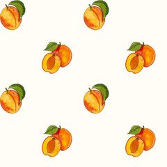 Summer apricots pattern on a white background