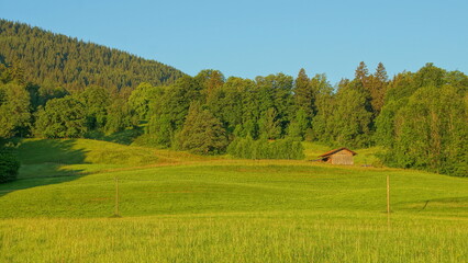Fototapeta premium Berg, Wald und Wiesen im warmen Morgenlicht im Ammergau in Bayern unter blauem Himmel 