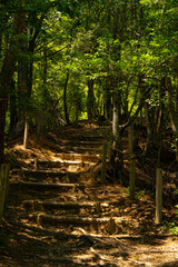 展望台へ通じる散歩道