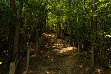 展望台へ通じる散歩道