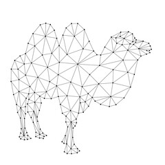 Camel, two - humped, from abstract futuristic polygonal black lines and dots. Vector illustration.