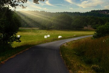 An asphalt winding path for cycling and walking in nature, summer day with flowering in the meadows and the rays of the sun